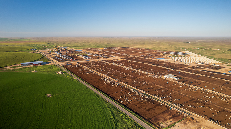 Lakin Feedyard