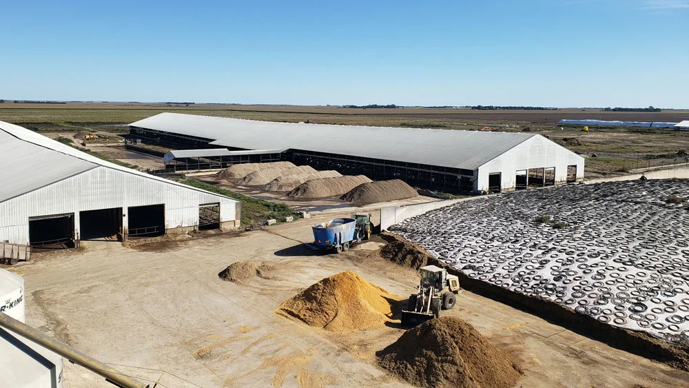 Warner Dairy